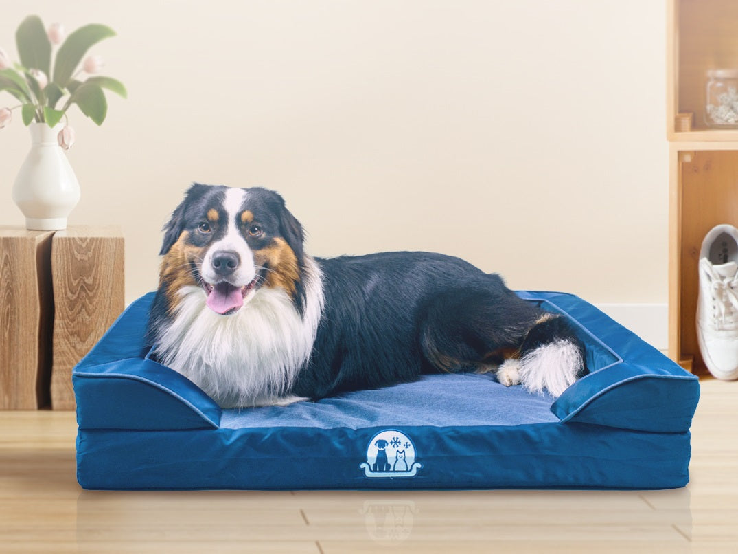 Snowluxe Singapore s 1st Premium Luxury Orthopedic Dog Bed snowluxe